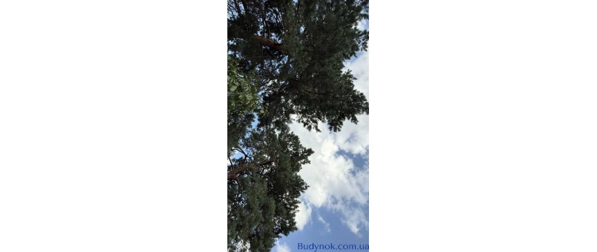 продаж ділянка під житлову забудову Обухівський, Плюти, 126000 $