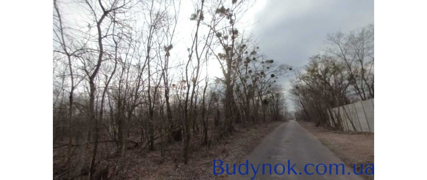 продаж ділянка під житлову забудову Макарівський, Мотижин, 10000 $