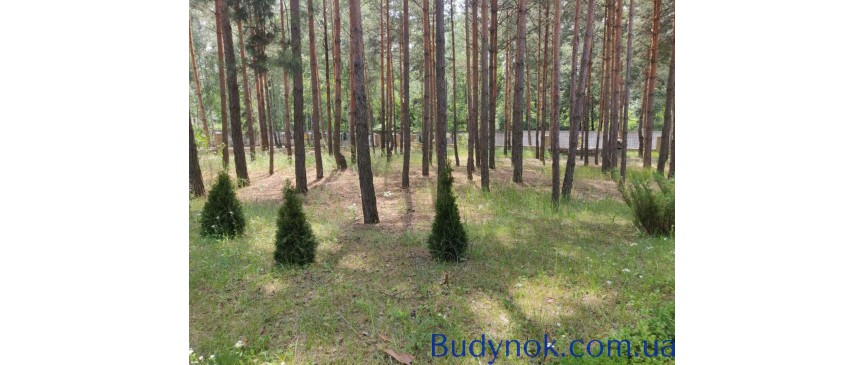 довгострокова оренда 3-к будинок Вишгородський, Лебедівка, 1000 $/міс.