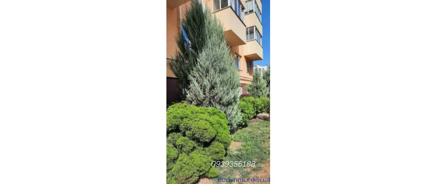 продаж 1-к квартира Києво-Святошинський, Софіївська Борщагівка, 42000 $