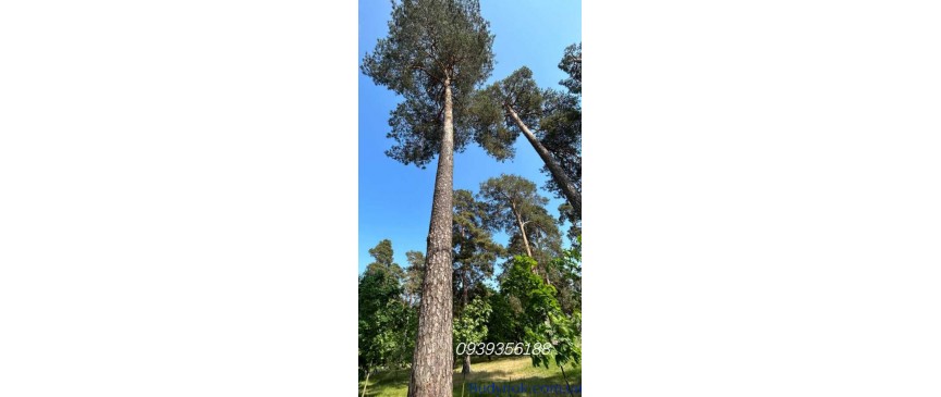 продаж 2-к квартира Київ, Дарницький, 82000 $