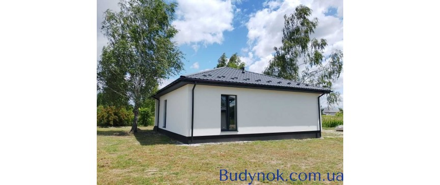 продаж 3-к будинок Васильківський, Путрівка, 65000 $