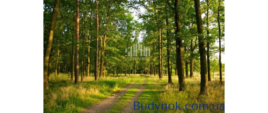 продаж ділянка під житлову забудову Києво-Святошинський, Мощун, 22900 $