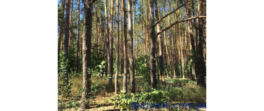 продаж 5-к будинок Києво-Святошинський, Круглик, 175000 $