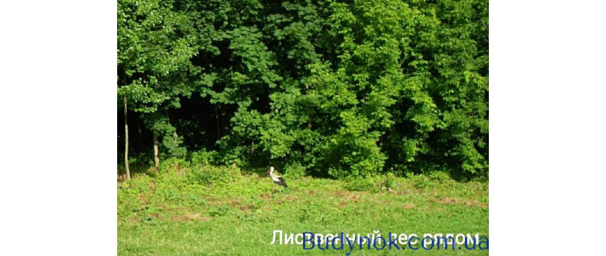 продаж 3-к будинок Суми, Зарічний, 6000 $