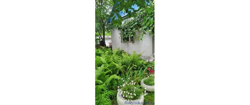 продаж 1-к дача Київ, Святошинський, 48000 $