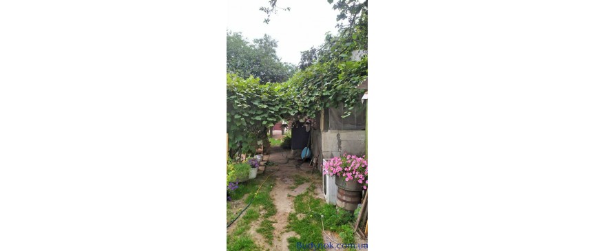 продаж 1-к дача Київ, Святошинський, 48000 $