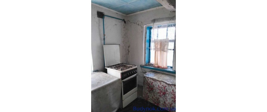 продаж 4-к будинок Рокитнянський, Насташка, 25000 $