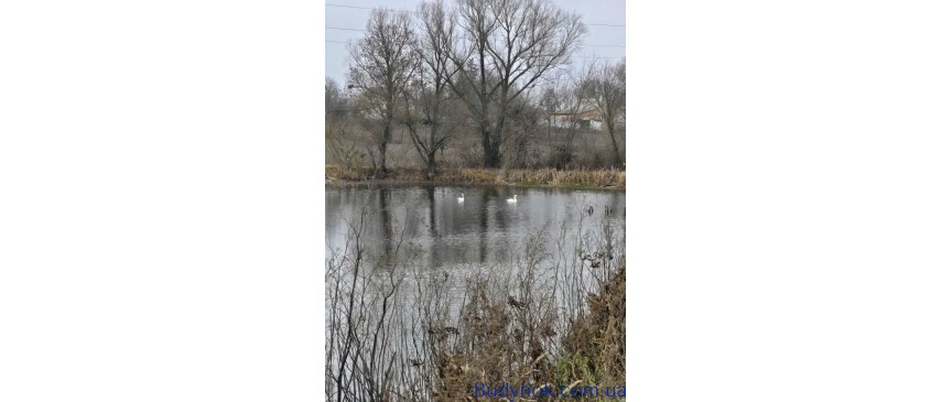 продаж 3-к будинок Сквирський, Самгородок, 12000 $