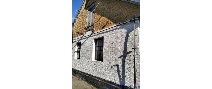 продаж 4-к будинок Рокитнянський, Насташка, 25000 $