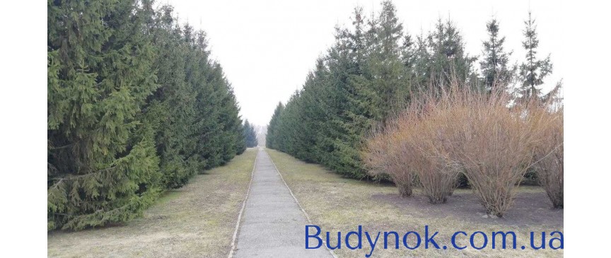 продаж ділянка під житлову забудову Васильківський, Вінницькі Стави, 30000 $