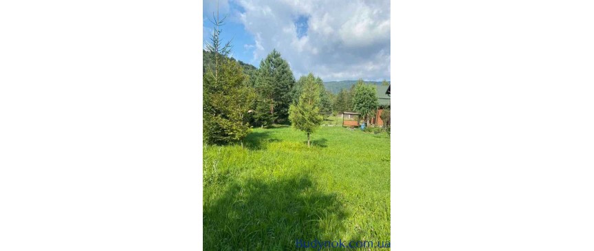 продаж 3-к будинок Надвірнянський, Пасічна, 75000 $