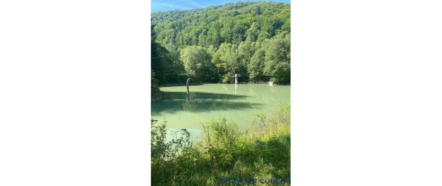 продаж 3-к будинок Надвірнянський, Пасічна, 75000 $