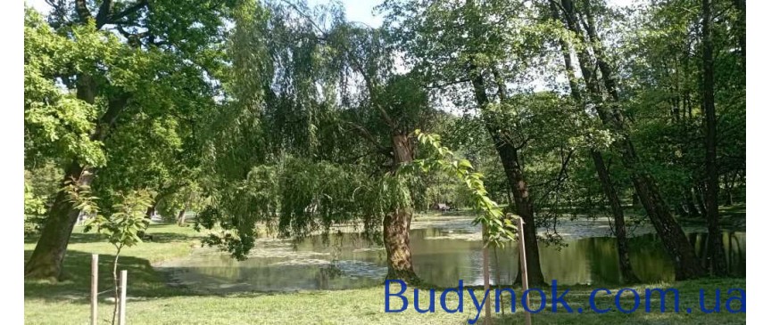 продаж ділянка рекреаційного призначення Мукачівський, Карпати, 199000 $