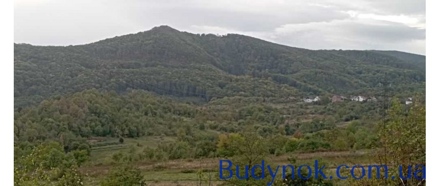 продаж 4-к будинок Свалявський, Сусково, 65000 $