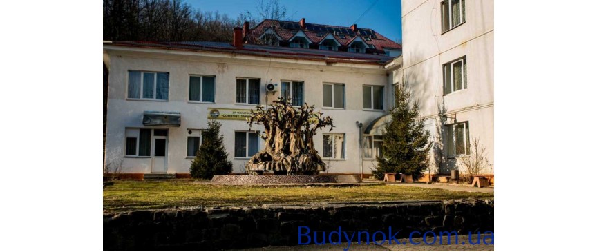 продаж 1-к квартира Свалявський, Поляна, 72000 $