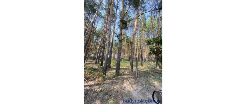 продаж 3-к дача Бородянський, Блиставиця, 17000 $