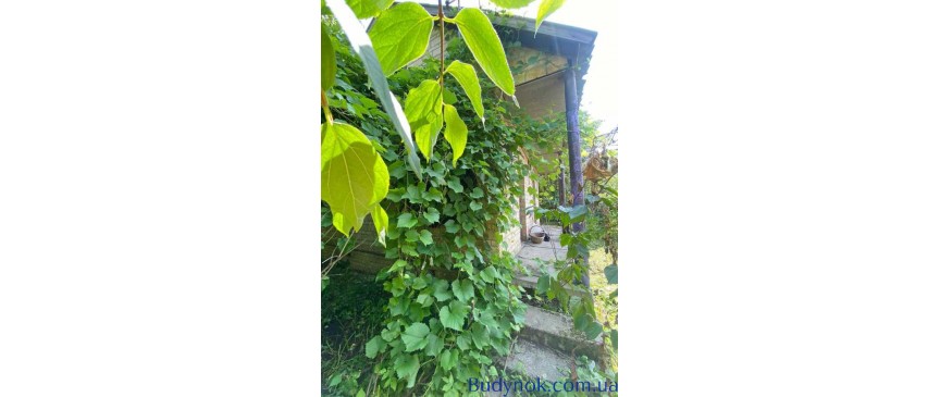 продаж 3-к дача Бородянський, Блиставиця, 17000 $