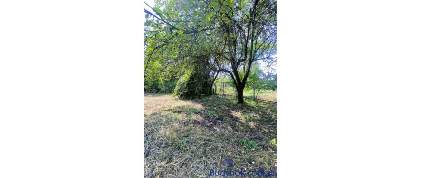 продаж 3-к дача Бородянський, Блиставиця, 17000 $