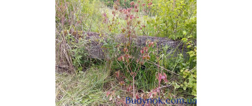 Продаю незавершене будівництво пром будівлі, ділянка  1,5 га, Свалява