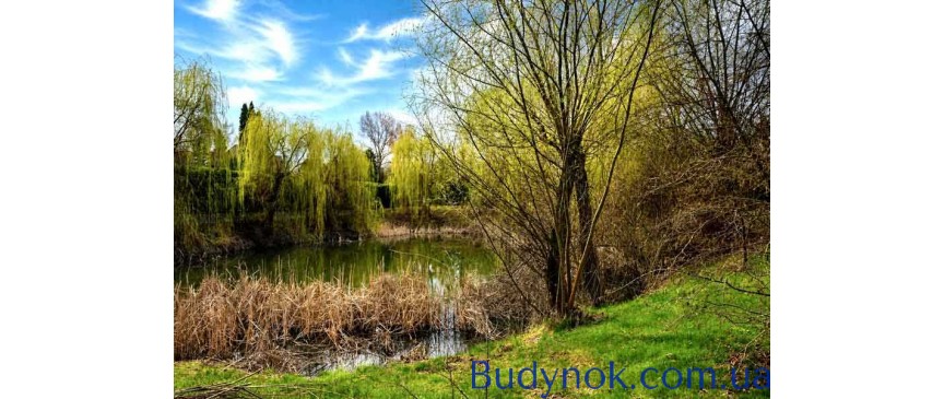 продаж ділянка під житлову забудову Миронівський, Козин, 2100000 $