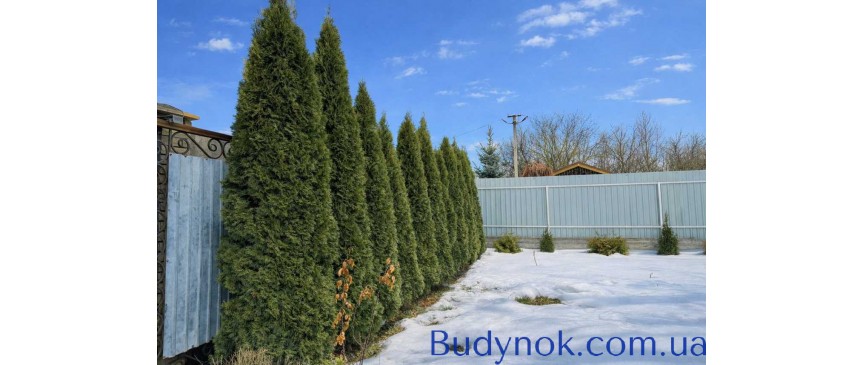 продаж 6-к будинок Макарівський, Липівка, 105000 $