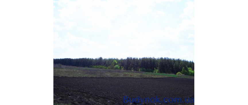 продаж ділянка під житлову забудову Васильківський, Васильків, 12000 $