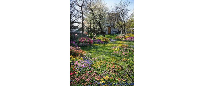 продаж ділянка сільськогосподарського призначення Київ, Подільський, 70000 $