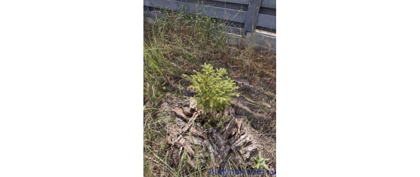 продаж 4-к будинок Києво-Святошинський, Буча, 180000 $