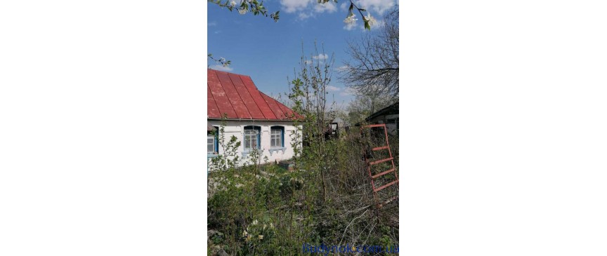 продаж 2-к будинок Таращанський, Чернин, 9500 $