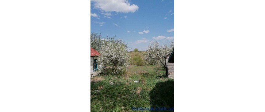 продаж 2-к будинок Таращанський, Чернин, 9500 $