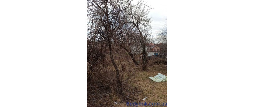 продаж ділянка під житлову забудову Рівне, Велика Омеляна, 10500 $