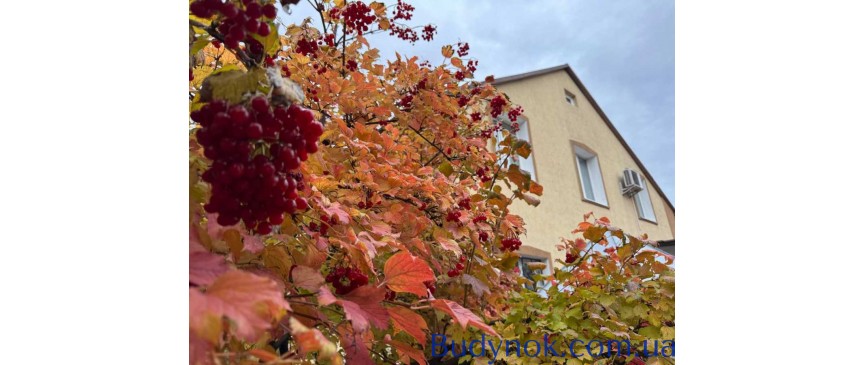 продаж 4-к будинок Києво-Святошинський, Чабани, 179000 $