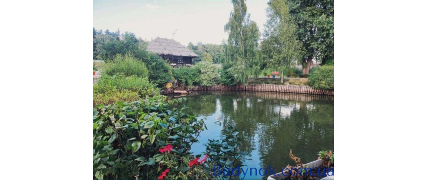 Ресторан на фасаді траси Київ - Бориспіль с. Шасливе