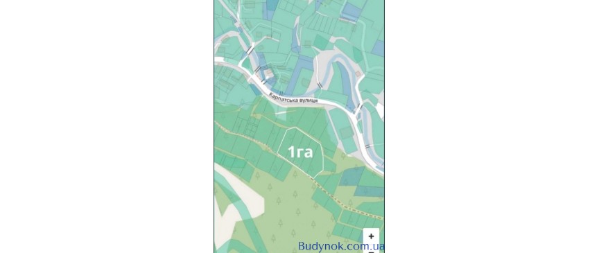 Терміново! Продаж 1Га в Буковелі, с. Поляниця