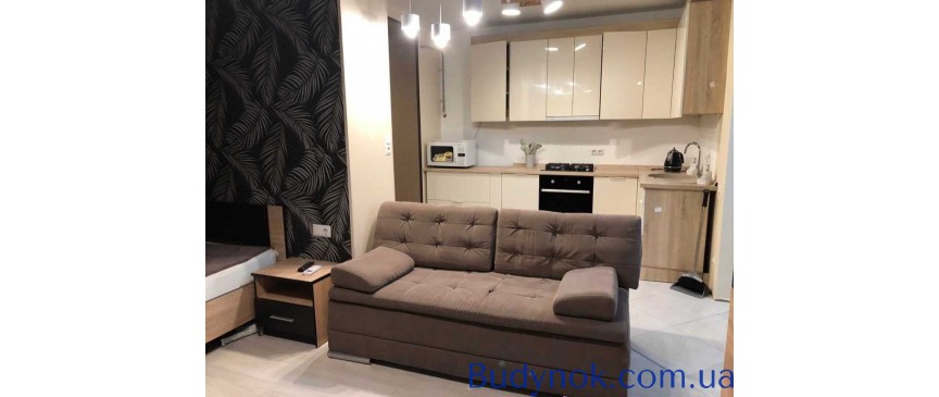 продаж 1-к квартира Києво-Святошинський, Софіївська Борщагівка, 75000 $