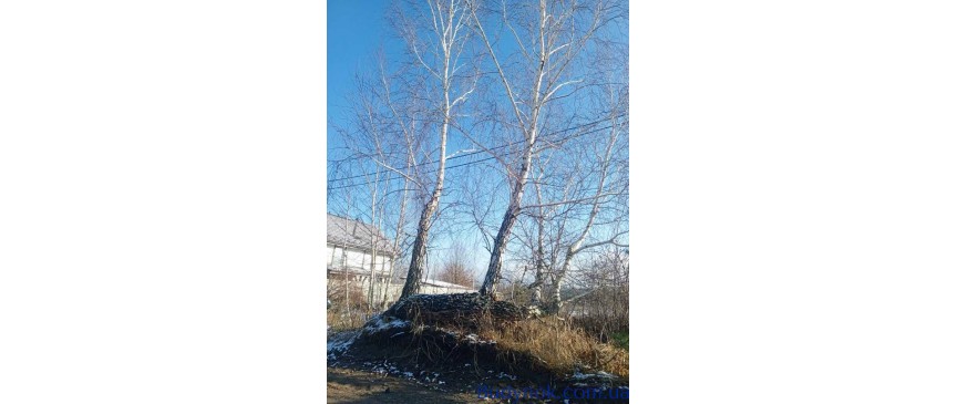 продаж ділянка під житлову забудову Києво-Святошинський, Горбовичі, 24800 $