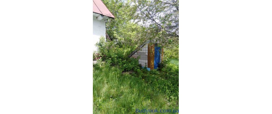 продаж 3-к будинок Таращанський, Северинівка, 12000 $
