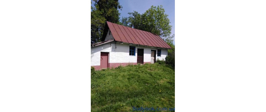 продаж 3-к будинок Таращанський, Северинівка, 12000 $