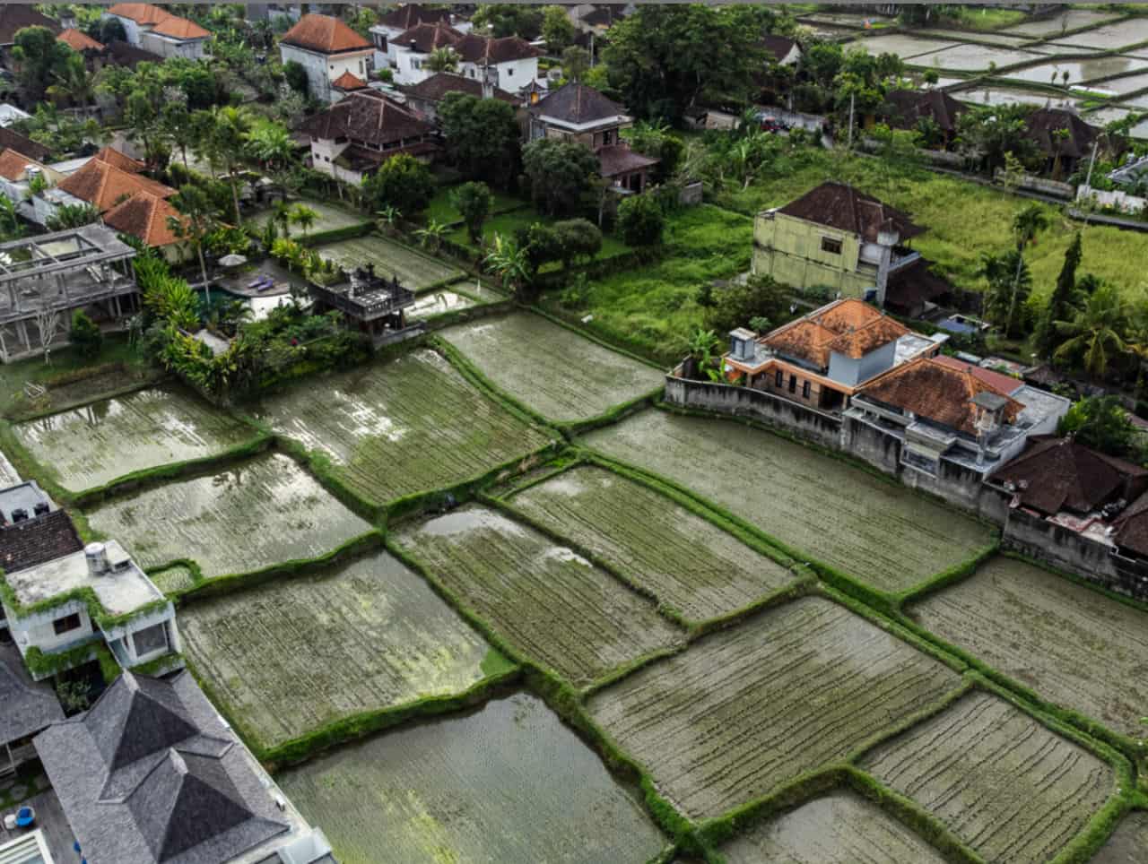 Balix Development
